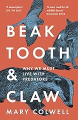 Beak tooth and d'occasion  Livré partout en France