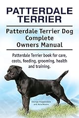 Patterdale terrier. patterdale for sale  Delivered anywhere in UK