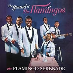 Sound flamingos flamingo for sale  Delivered anywhere in USA 