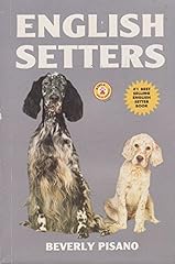 English setters for sale  Delivered anywhere in UK