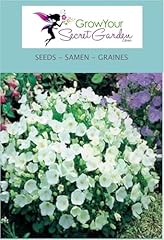 Campanule carpatica blanc d'occasion  Livré partout en France