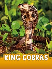 King cobras for sale  Delivered anywhere in UK