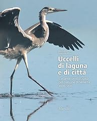Uccelli laguna città. usato  Spedito ovunque in Italia 