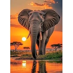 Maxbye elephant sunset for sale  Delivered anywhere in UK