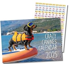 2025 dogs calendar. for sale  Delivered anywhere in UK