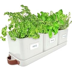 Green thumbz jardinière d'occasion  Livré partout en France
