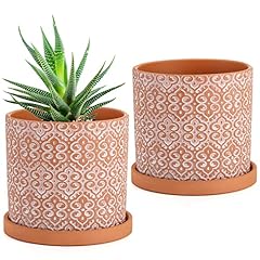 Frcctre pack terracotta for sale  Delivered anywhere in USA 