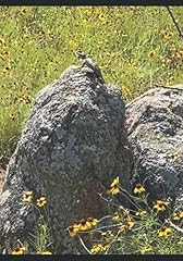 Inspired nature for sale  Delivered anywhere in USA 
