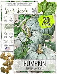 Seed needs pumpkin for sale  Delivered anywhere in USA 