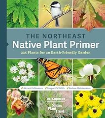 Northeast native plant for sale  Delivered anywhere in USA 
