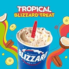 Blizzard fest for sale  Delivered anywhere in USA 