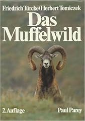 Muffelwild naturgeschichte ök gebraucht kaufen  Wird an jeden Ort in Deutschland