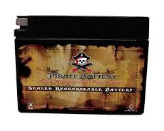 Pirate battery maintenance for sale  Delivered anywhere in USA 