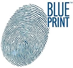 Blue print kit d'occasion  Livré partout en France