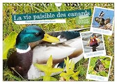 Vie paisible canards d'occasion  Livré partout en Belgiqu