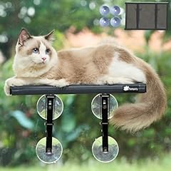 Fampety small cat for sale  Delivered anywhere in USA 