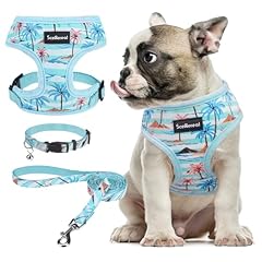 Scenereal small dog for sale  Delivered anywhere in USA 