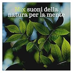 Natura viva usato  Spedito ovunque in Italia 
