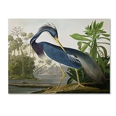Louisiana heron artwork for sale  Delivered anywhere in USA 