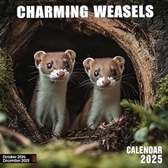 Charming weasels calendar for sale  Delivered anywhere in USA 