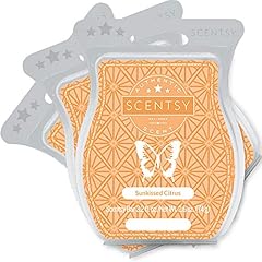 Scentsy sunkissed citrus for sale  Delivered anywhere in USA 