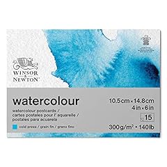 Winsor newton carta usato  Spedito ovunque in Italia 