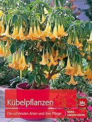 Kübelpflanzen schönsten arte gebraucht kaufen  Wird an jeden Ort in Deutschland