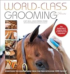 Class grooming horses for sale  Delivered anywhere in USA 