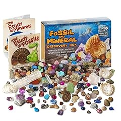 Fossil mineral discovery for sale  Delivered anywhere in UK