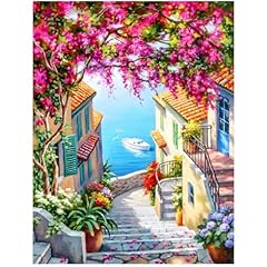 Xuiiosookp diamond painting usato  Spedito ovunque in Italia 