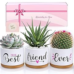 Best friend birthday for sale  Delivered anywhere in UK