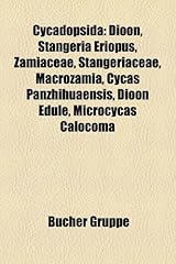 Cycadopsida dioon stangeria d'occasion  Livré partout en France