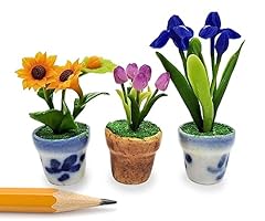 Witnystore tiny high for sale  Delivered anywhere in USA 