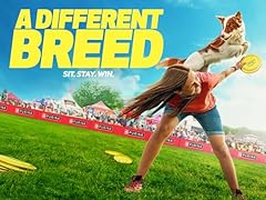 Different breed for sale  Delivered anywhere in USA 