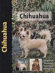 Chihuahua usato  Spedito ovunque in Italia 
