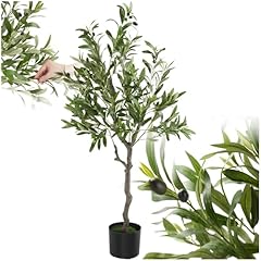 Tectake albero ulivo usato  Spedito ovunque in Italia 