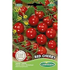 Germisem red cherry usato  Spedito ovunque in Italia 