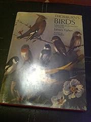 Thorburn birds for sale  Delivered anywhere in UK