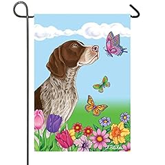 German shorthair pointer for sale  Delivered anywhere in USA 