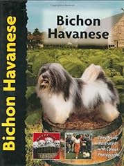 Bichon havanese d'occasion  Livré partout en Belgiqu