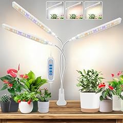 Kullinss white grow for sale  Delivered anywhere in USA 