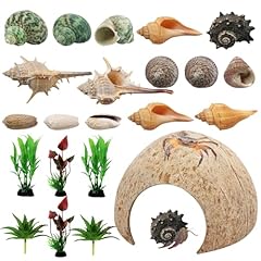 Hermit crab supplies for sale  Delivered anywhere in UK