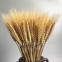 100 stems dried for sale  Delivered anywhere in USA 