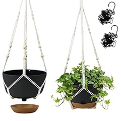 Koalaime hanging planter for sale  Delivered anywhere in USA 