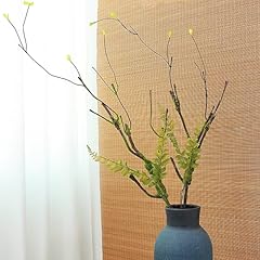Fosolasi 2pcs inch for sale  Delivered anywhere in USA 