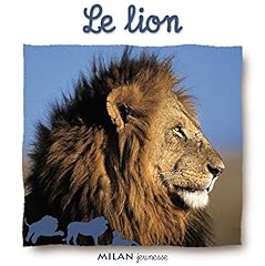 Lion d'occasion  Livré partout en France