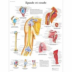 Scientific vr2170l planche d'occasion  Livré partout en France