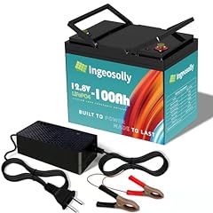 12v 100ah lifepo4 for sale  Delivered anywhere in USA 