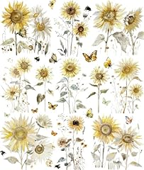 Carta riso girasoli usato  Spedito ovunque in Italia 