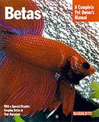 Bettas d'occasion  Livré partout en Belgiqu